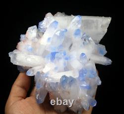 2.46lb Rare Beatiful Blue Tibetan Ghost phantom Quartz Crystal Cluster Specimen