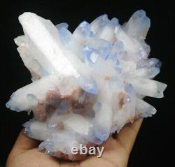 2.46lb Rare Beatiful Blue Tibetan Ghost phantom Quartz Crystal Cluster Specimen