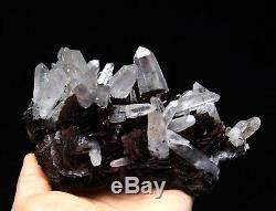 2.4LB White Crystal Cluster & Flower Shape Specularite Mineral Specimen/China