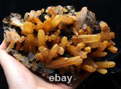2.4lb Natural Yellow Crystal Cluster &Flower Shape Specularite Mineral Specimen