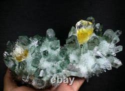 2.52lb New Find Green/Yellow Phantom Quartz Crystal Cluster Mineral Specimen