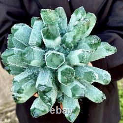 2.57LB New Find Green Phantom Quartz Crystal Cluster Mineral Specimen Healing