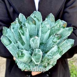 2.57LB New Find Green Phantom Quartz Crystal Cluster Mineral Specimen Healing