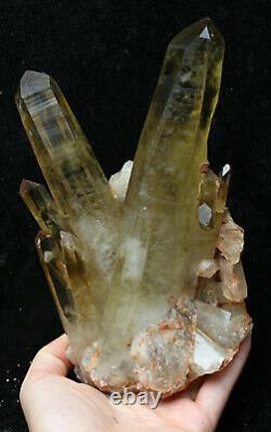 2.5lb Natural Clear Smoky Citrine Quartz Point Crystal Cluster Healing Mineral