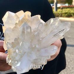 2.61LB Natural Clear White Quartz Crystal Cluster Quartz Crystal Healing