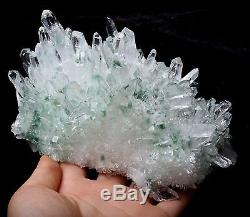 2.61lb New Find Green Phantom Quartz Crystal Cluster Mineral Specimen Healing