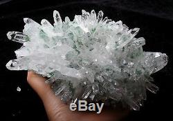 2.61lb New Find Green Phantom Quartz Crystal Cluster Mineral Specimen Healing