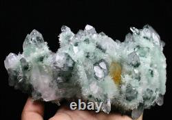 2.66 lb New Find Green/Yellow Phantom Quartz Crystal Cluster Mineral Specimen
