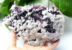 2.6lb NATURAL Purple FLUORITE with Calcite Crystal Cluster Mineral Specimen