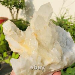 2.6lb Natural Clear Quartz Crystal Cluster Vug Druse Skeleton Mineral Specimens