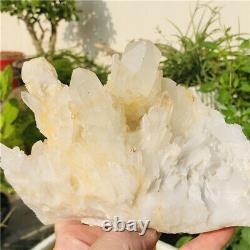 2.6lb Natural Clear Quartz Crystal Cluster Vug Druse Skeleton Mineral Specimens