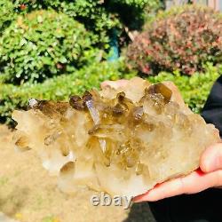 2.7 LB Natural 7 Transparent Yellow Brown Quartz Crystal Cluster For Healing