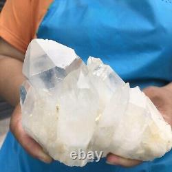 2.75LB Large Natural White Quartz Crystal Cluster Rough Specimen HEALING