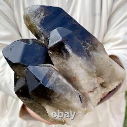 2.75LB Natural Beautiful Black Quartz Crystal Cluster Mineral Specimen Rare