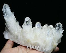2.79lb Natural Tibetan Elestial skeletal Quartz Crystal Cluster Point specimen