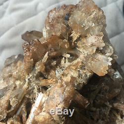 2.7lb Rare Natural Settlings Smoky Quartz Crystal Cluster Rough Healing Specimen