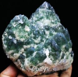 2.84lb New Find Beatiful Green Tibetan Phantom Quartz Crystal Cluster Specimen