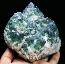 2.84lb New Find Beatiful Green Tibetan Phantom Quartz Crystal Cluster Specimen