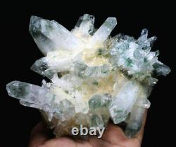 2.85lb New Find Beatiful Green Tibetan Phantom Quartz Crystal Cluster Specimen