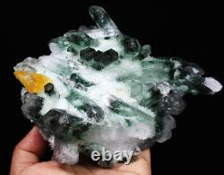2.85lb New Find Green/Yellow Phantom Quartz Crystal Cluster Mineral Specimen