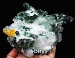 2.85lb New Find Green/Yellow Phantom Quartz Crystal Cluster Mineral Specimen