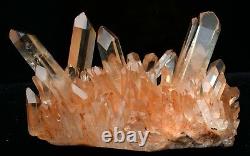 2.86lb Natural Beautiful Pink Quartz Crystal Cluster Mineral Specimen Rare