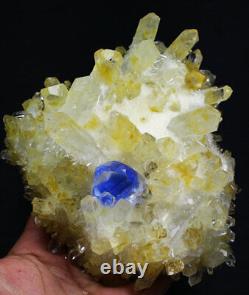 2.9 lb New Find Yellow Blue Phantom Quartz Crystal Cluster Mineral Specimen