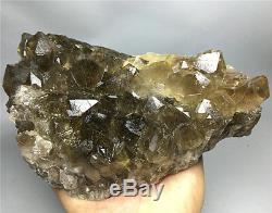 2.99lb New Find NATURAL Clear Golden RUTILATED QUARTZ Crystal Cluster Specimen