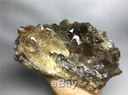 2.99lb New Find NATURAL Clear Golden RUTILATED QUARTZ Crystal Cluster Specimen