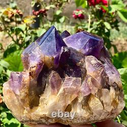 2.9LB Natural Amethyst backbone clustercrystal rod point healing therapy