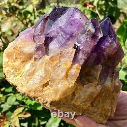2.9LB Natural Amethyst backbone clustercrystal rod point healing therapy