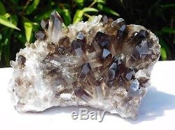2 Large Smoky Quartz Crystal Cluster Mineral Brazil 1.12 KG High Grade