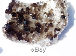 2 Large Smoky Quartz Crystal Cluster Mineral Brazil 1.12 KG High Grade