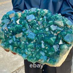 20.19LB NATURAL Green FLUORITE Quartz Crystal Cluster Mineral Specimen