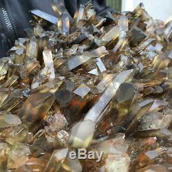 20.5LB Natural smokey citrine quartz cluster crystal specimen healing LTD4