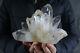 2020g(4.44lb) Natural Beautiful Clear Quartz Crystal Cluster Tibetan Specimen