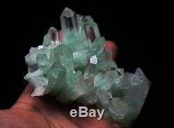 206.5g Rare NATURAL Green Ghost pyramid Quartz Crystal Cluster Specimen