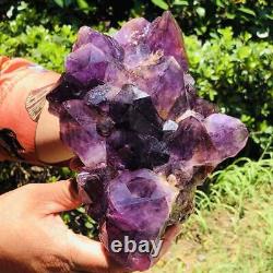 2140G Natural Amethyst Cluster Purple Quartz Crystal Rare Mineral Specimen