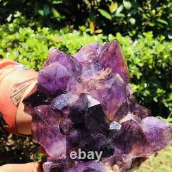 2140G Natural Amethyst Cluster Purple Quartz Crystal Rare Mineral Specimen