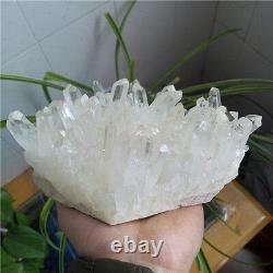 2140g Natural Beautiful Clear White QUARTZ Crystal Cluster Specimen #D4