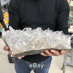 22.7LB Natural Clear Quartz Cluster Mineral Crystal specimen 16.5 TT506