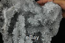 22.8lb Clear Natural White chrysanthemum QUARTZ Crystal Cluster Specimen