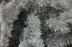 22.8lb Clear Natural White chrysanthemum QUARTZ Crystal Cluster Specimen