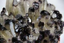 2258g New Find Amethyst Citrine Quartz Crystal Cluster Specimen