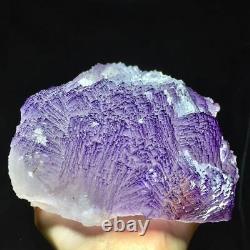 2295g Natural Unique Multilayer Cubic Purple Fluorite Crystal Cluster Specimen