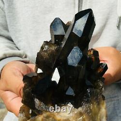 2315g Large Natural Smoky Citrine Quartz Crystal Cluster Rough Healing Specimen