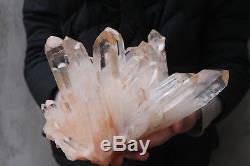 2340g Beautiful Natural Lemurian Seed Clear Quartz Crystal Cluster Specimen