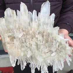 24.0lb 16.0 Natural Beautiful Rock Crystal Quartz Cluster Specimen FD20