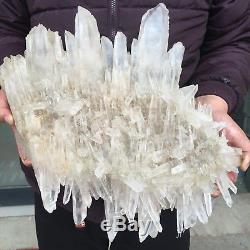 24.0lb 16.0 Natural Beautiful Rock Crystal Quartz Cluster Specimen FD20