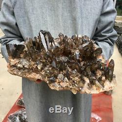 24.28LB Natural smokey Quartz Cluster Mineral Crystal Specimen Healing ETD1019-2